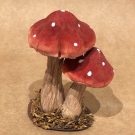 Cogumelos vermelhos P